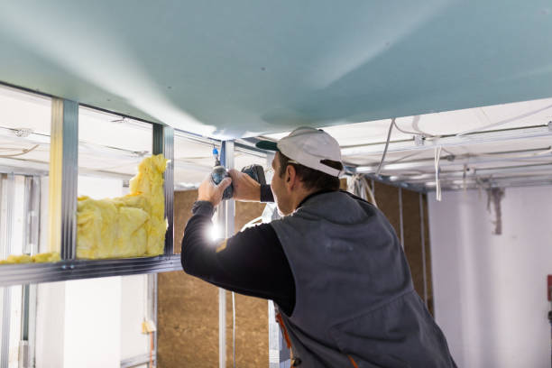 Best Residential Insulation in Hortonville, WI